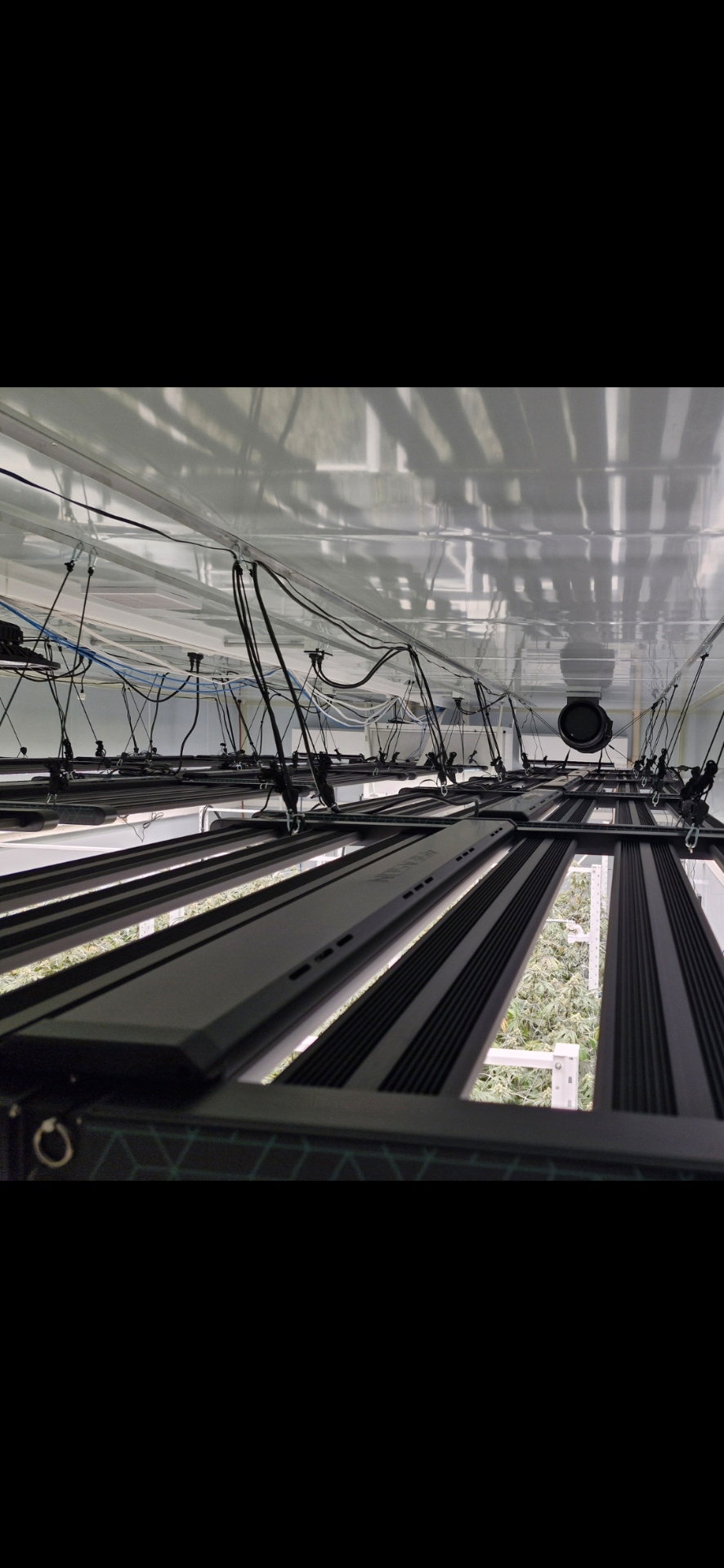 Overhead Array ST Electrics | Licensed Electrician in Auckland